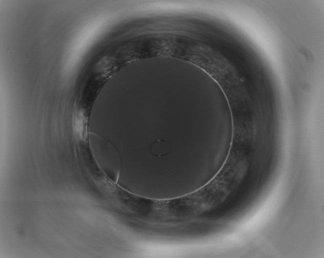 X0000112000766200908031228