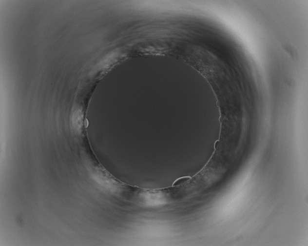 X0000112000767200908031228