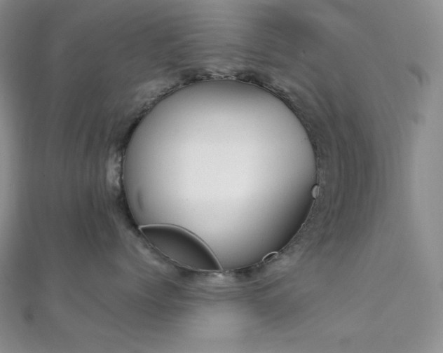 X0000112000768200908031228