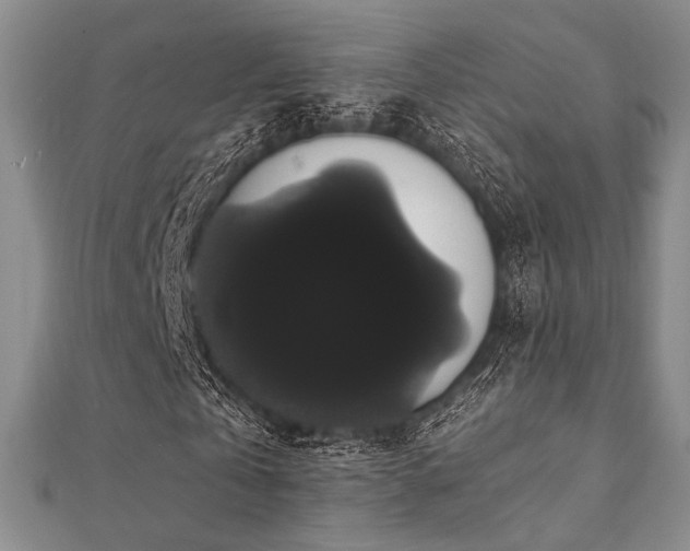 X0000112000769200908031228