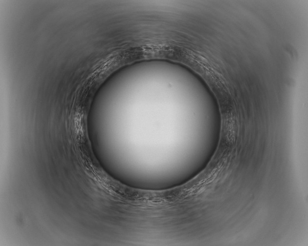 X0000112000770200908031228