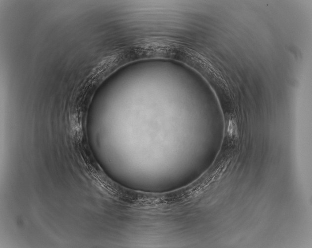 X0000112000771200908031228