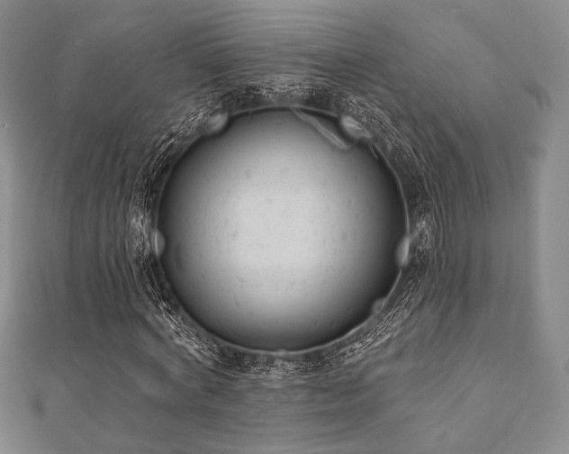 X0000112000772200908031228