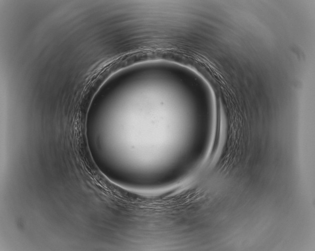 X0000112000773200908031228