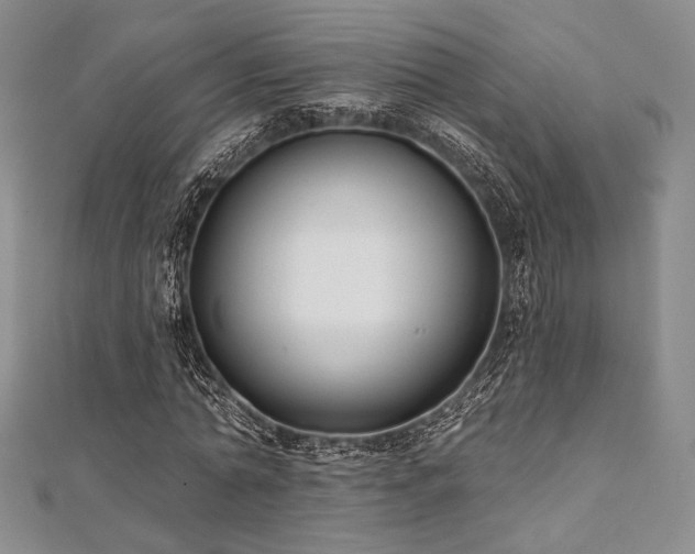 X0000112000774200908031228