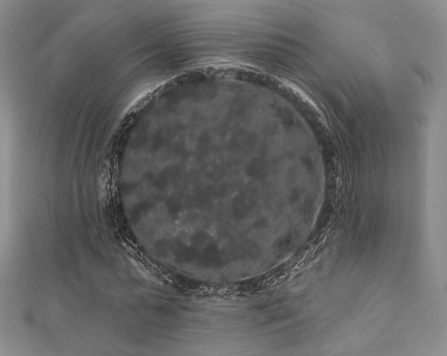 X0000112000775200908031228