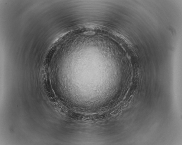 X0000112000776200908031228