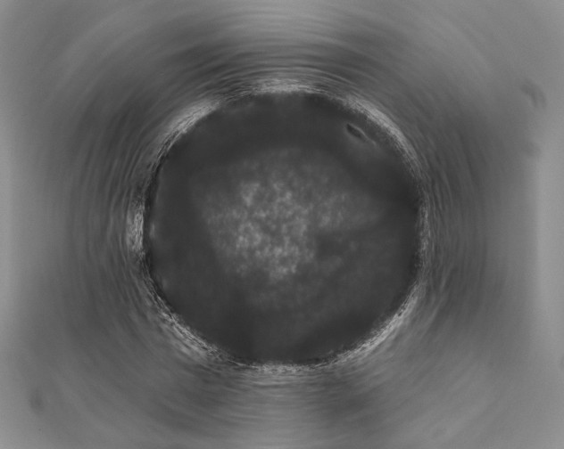 X0000112000777200908031228