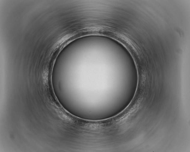 X0000112000778200908031228