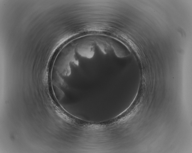 X0000112000779200908031228