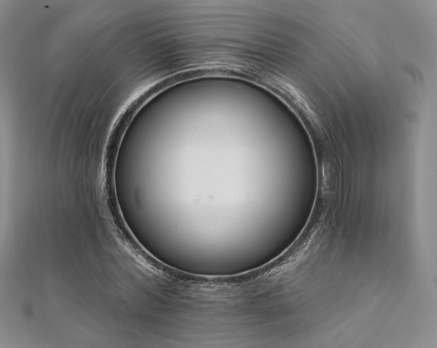 X0000112000780200908031228