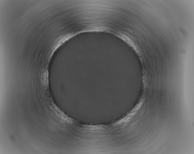 X0000112000781200908031228