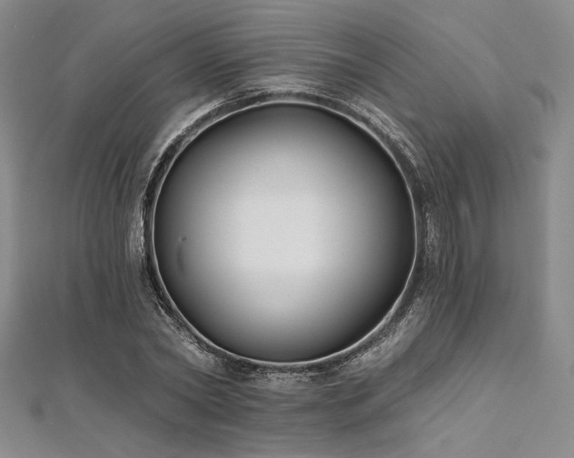 X0000112000782200908031228