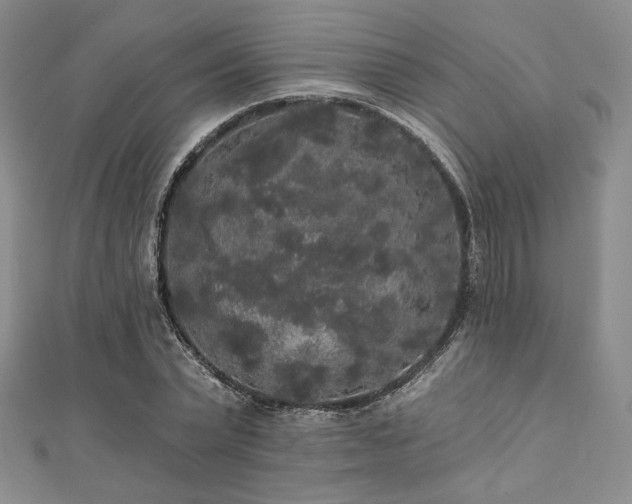 X0000112000783200908031228