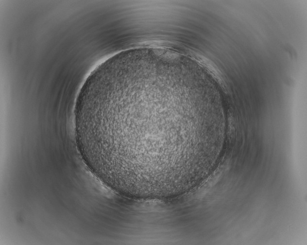 X0000112000784200908031228