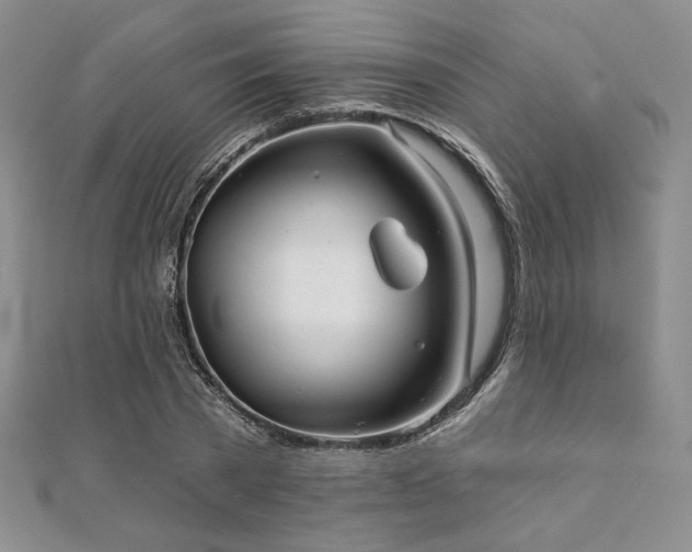 X0000112000785200908031228