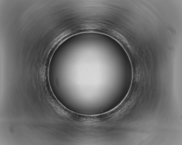 X0000112000786200908031228