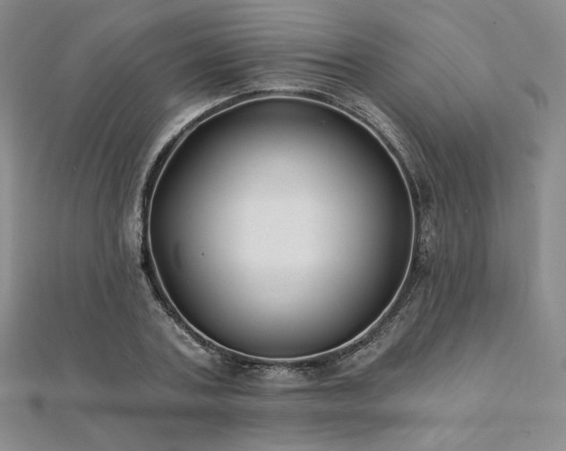 X0000112000787200908031228