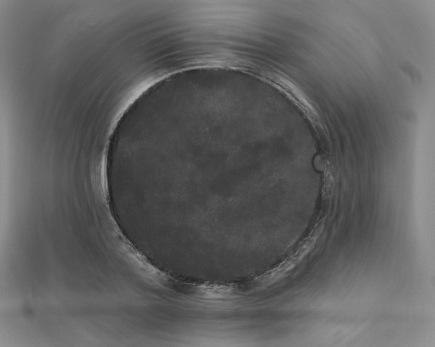 X0000112000788200908031228