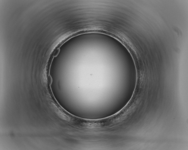 X0000112000789200908031228