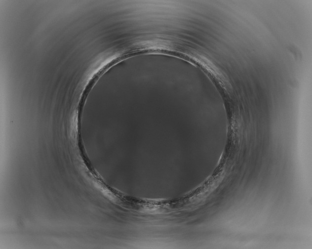 X0000112000790200908031228