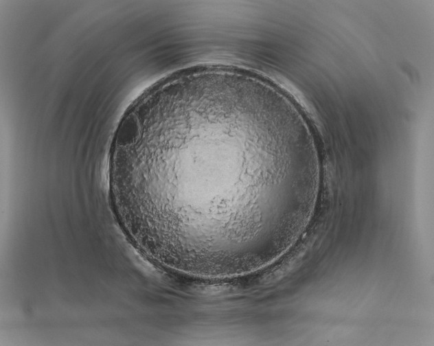 X0000112000791200908031228