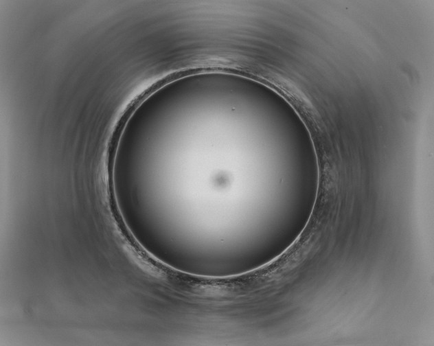 X0000112000792200908031228