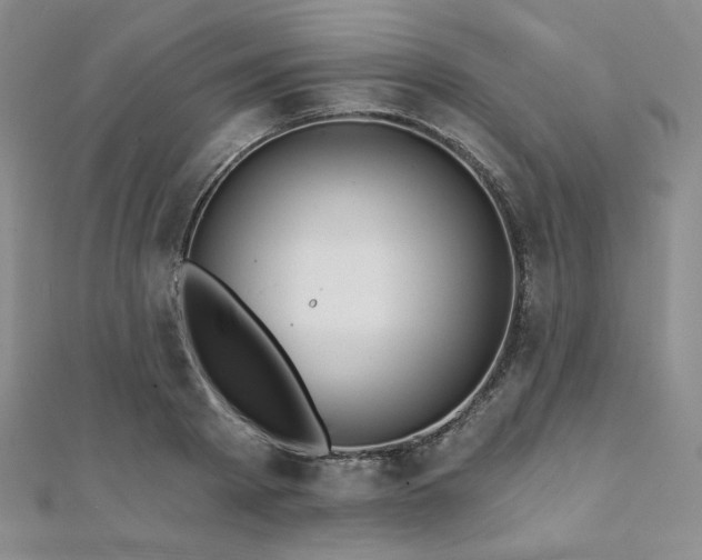 X0000112000793200908031228