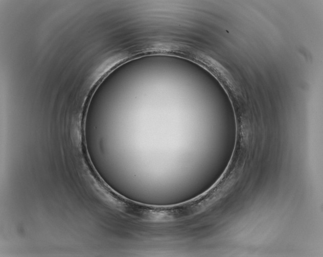 X0000112000794200908031228