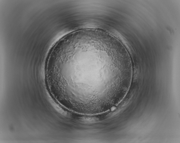 X0000112000795200908031228