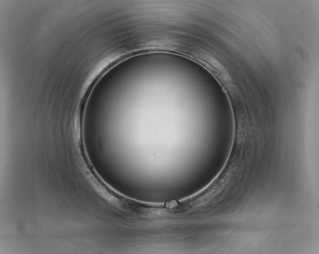 X0000112000796200908031228