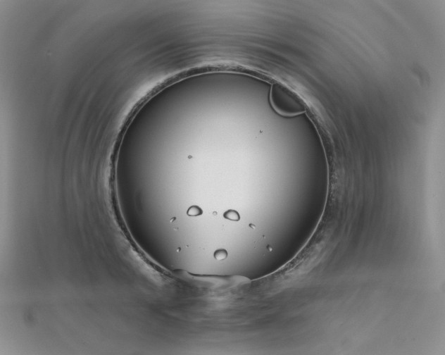 X0000112000799200908031227