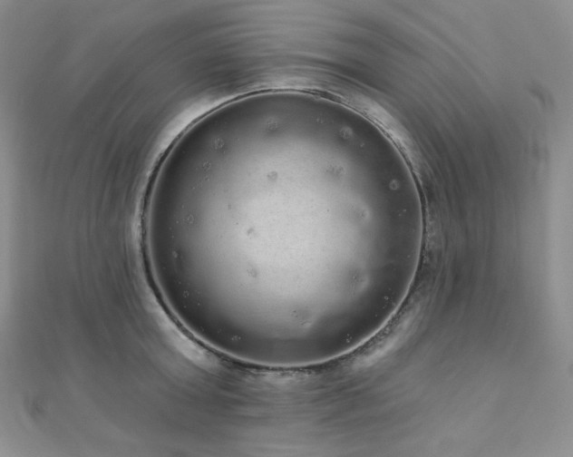 X0000112000803200908031227