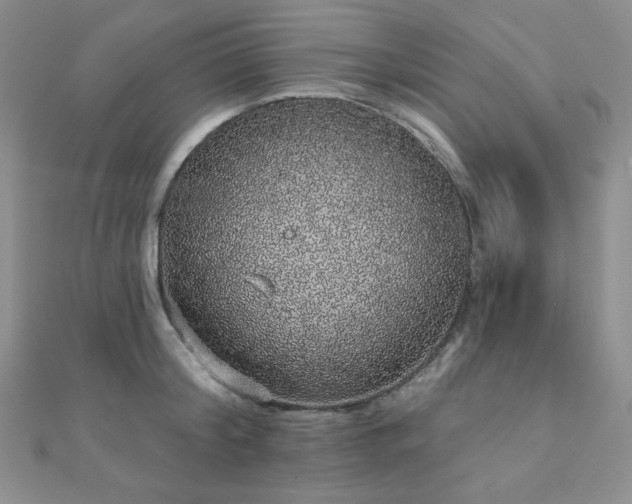 X0000112000804200908031227