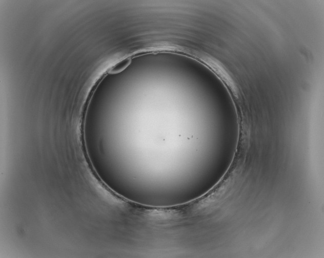 X0000112000805200908031227