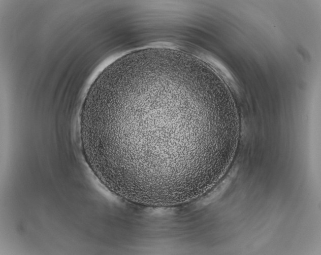 X0000112000808200908031227