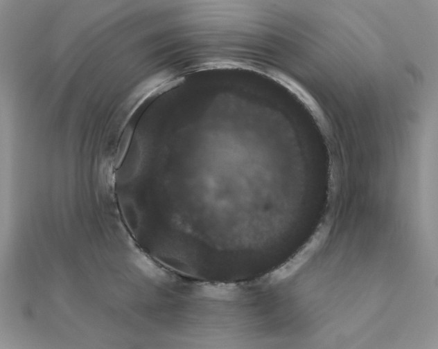 X0000112000809200908031227