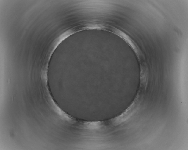 X0000112000810200908031227