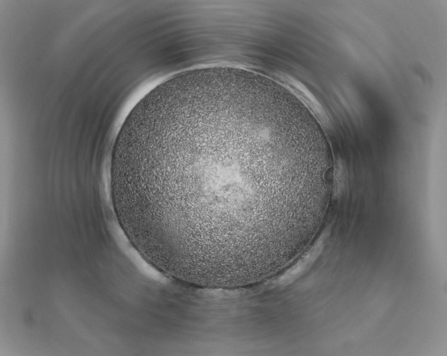 X0000112000812200908031227