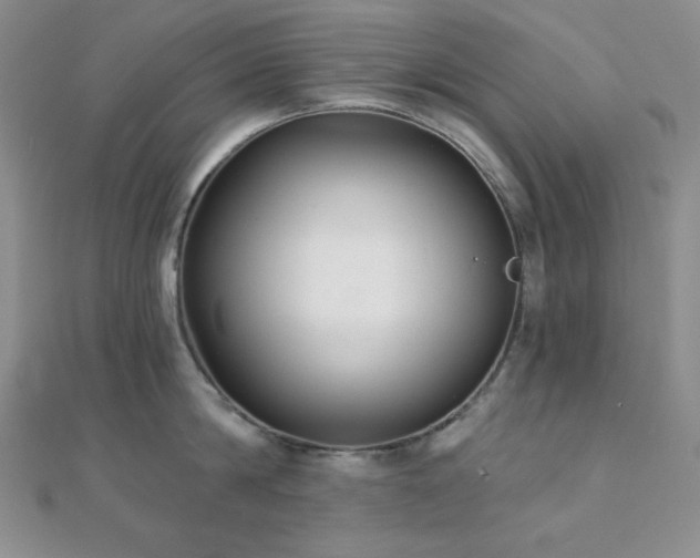 X0000112000814200908031227