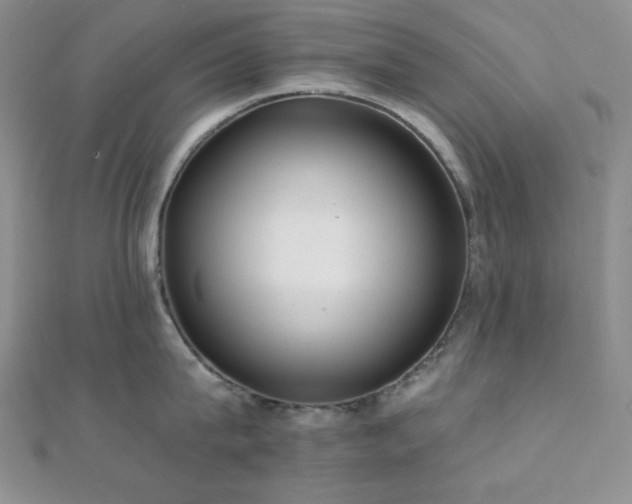 X0000112000815200908031227