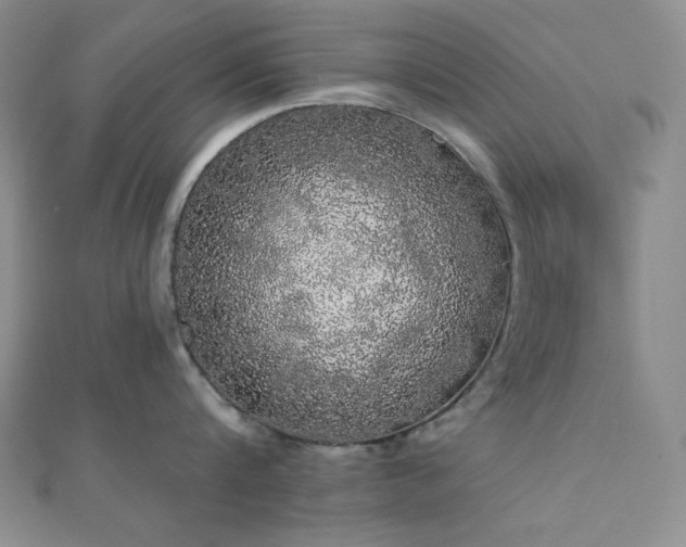 X0000112000816200908031227