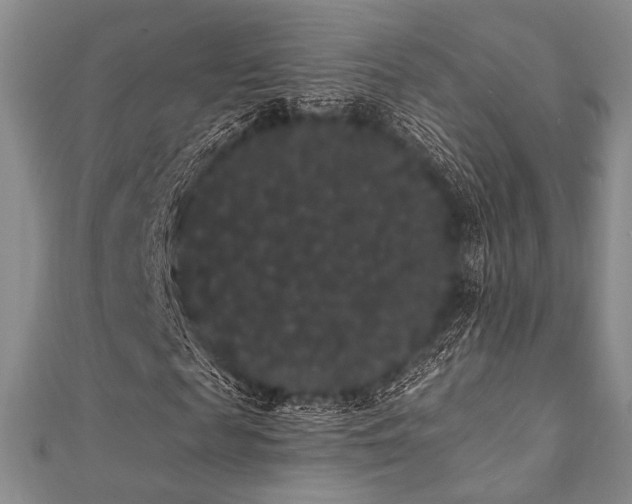 X0000112000817200908031227