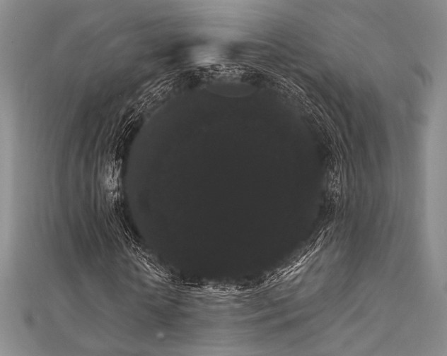 X0000112000818200908031227