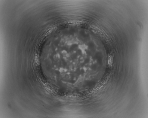 X0000112000819200908031227