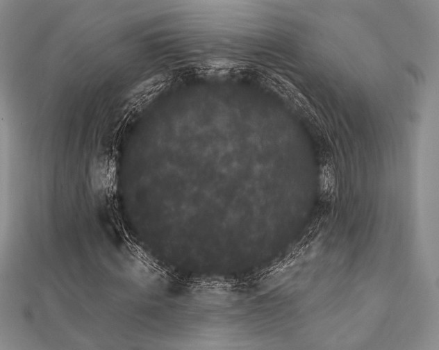 X0000112000820200908031227