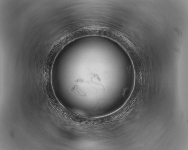 X0000112000821200908031227