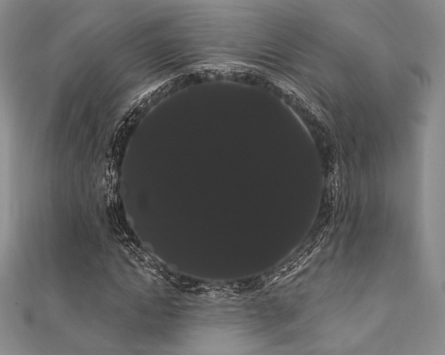 X0000112000822200908031227