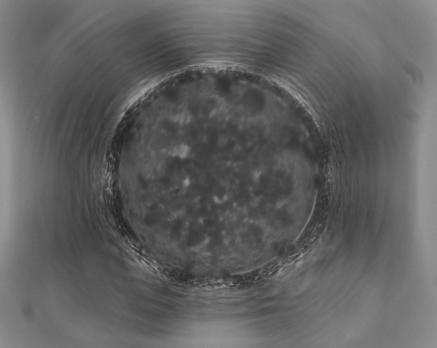 X0000112000823200908031227