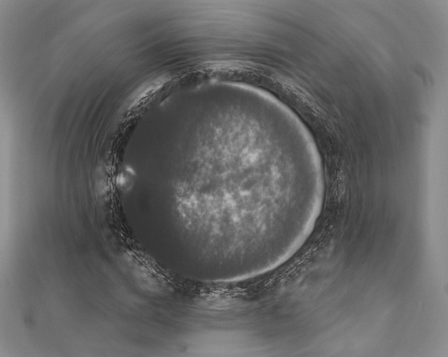 X0000112000824200908031227